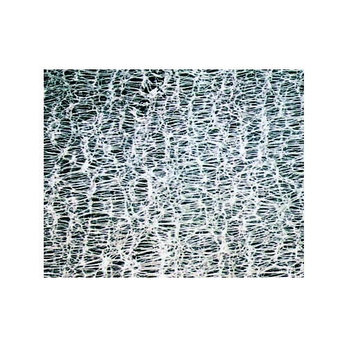 Hydrophobic PTFE Membrane Hydrophobic PTFE Membrane