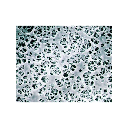 Coated Cellulose Acetate (CMF) Coated Cellulose Acetate (CMF)