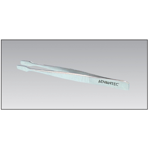 Petri Dish Petri Dish