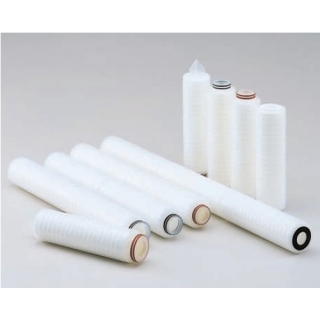 Hydrophobic PTFE Membrane Cartridge Filter (TCF型)